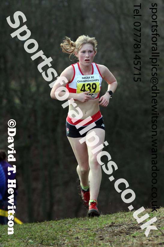 Womens under-17s and 20s North Eastern Cross Country, Aykley Heads, Durham. Photo: David T. Hewitson/Sports for All Pics